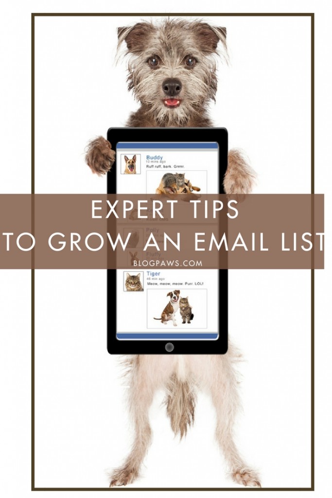 Experts Tips to Grow an Email List
