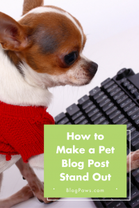 How to Make a Blog Post Stand Out