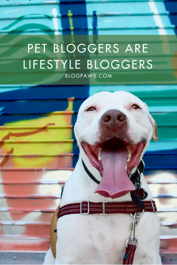 Pet Bloggers ARE Lifestyle Bloggers