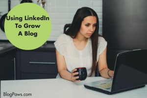 LinkedIn growth tips for a blog