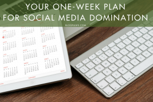 Your One-Week Plan for Social Media Domination | BlogPaws.com