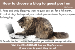 how to choose a blog to guest post on