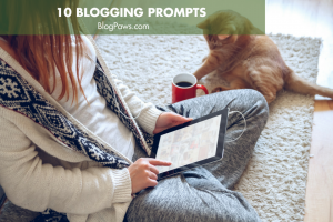 10 Blogging Prompts for Creative Inspiration | BlogPaws.com