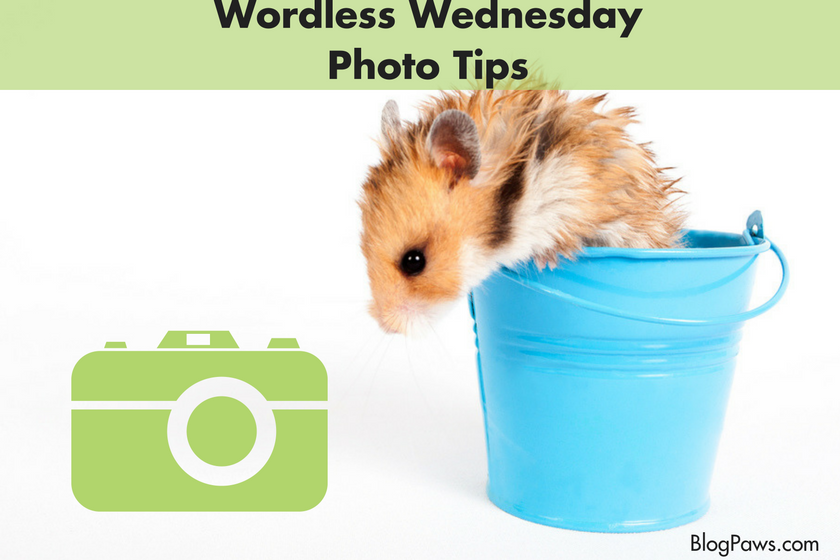 blog photo tips