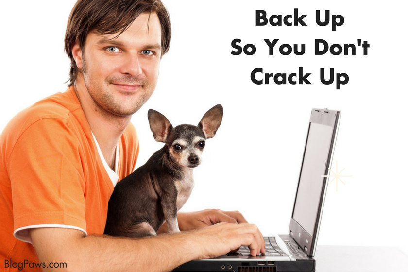 Back Up So You Don’t Crack Up
