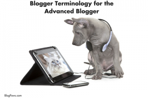Blogger Terminology for the Advanced Blogger