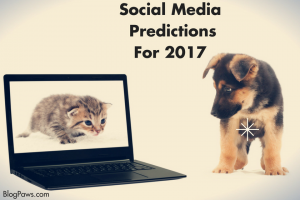 Social Media Predictions 2017