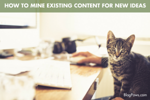 How to Mine Existing Content for New Ideas- BlogPaws.com