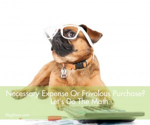 necessary expense or frivolous purchase how to decide