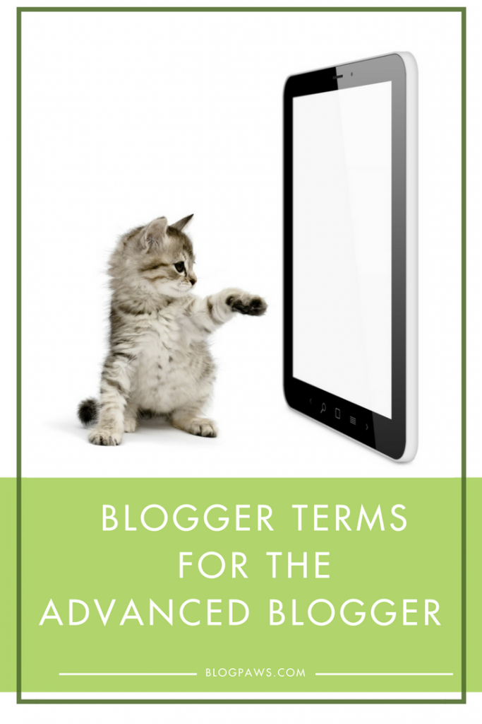 Terminology for advanced bloggers