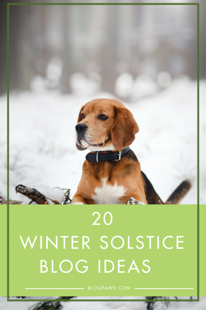 20 Winter Pet Blog Ideas