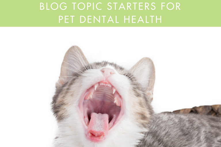 Wordless Wednesday Blog Hop Pet Dental Care