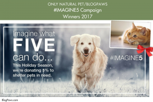 Imagine5 Campaign Winners