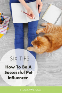 how to be a successful pet influencer