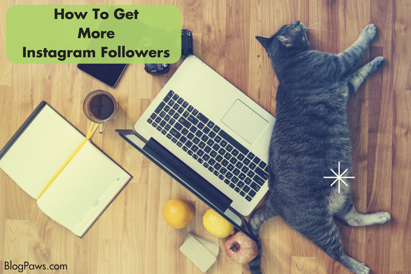 How To Get More Followers on Instagram
