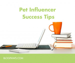 pet influencer success tips