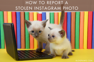 Stolen Instagram photo help