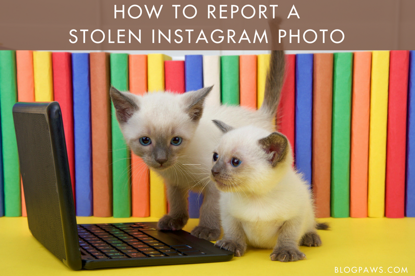 Stolen Instagram photo help