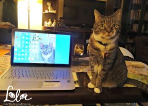 Lola is here to help you turn your blog into a book | BlogPaws.com