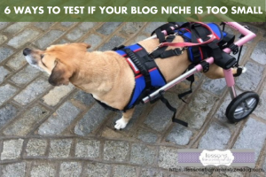 6 Ways to Test if Your Blog Niche is Too Small - BlogPaws.com