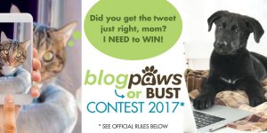 BlogPaws or Bust Contest 2017
