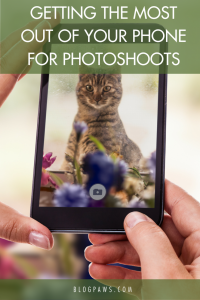 Getting the Most Out of Your Phone for Photoshoots- BlogPaws.com
