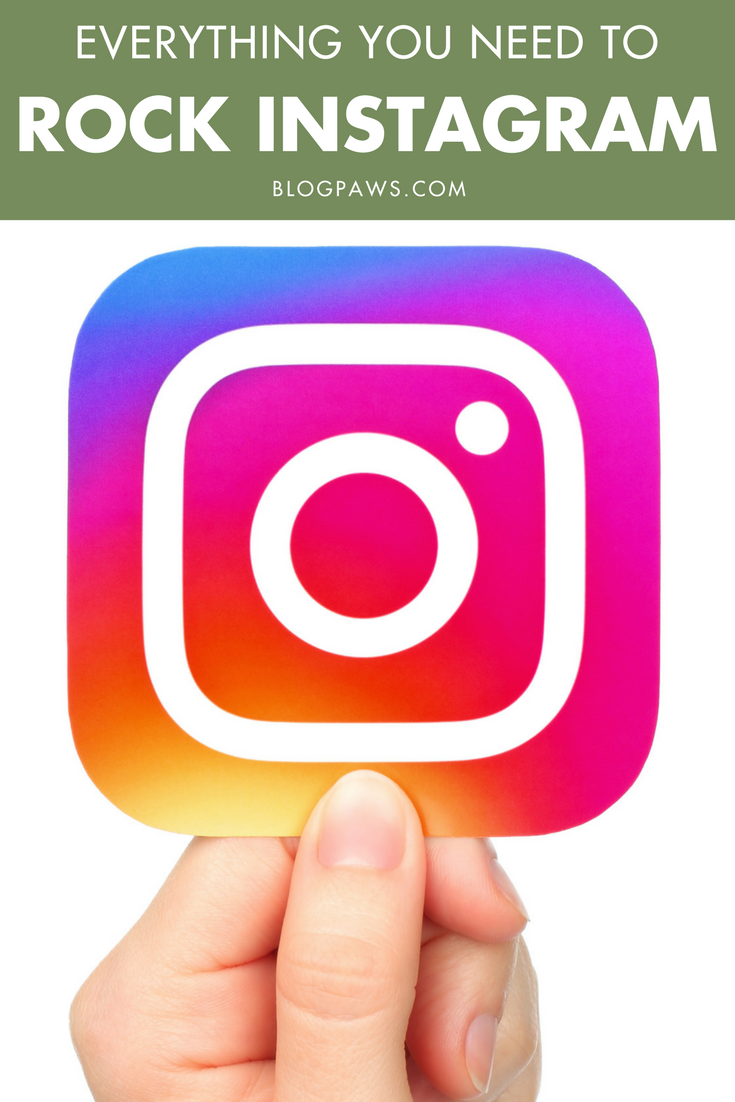 How to Rock Instagram - BlogPaws.com