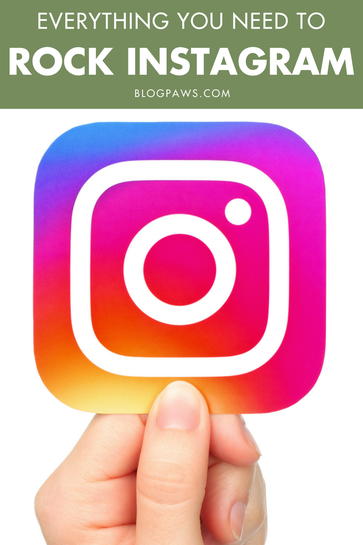 How-to-Rock-Instagram-BlogPaws.com_.png