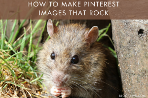 How To Make Your Pinterest Images Rock