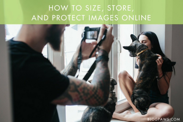 How to Size Store and Protect Images Online