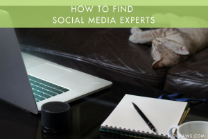 where to find social media pros