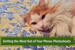 Getting the most out of your phone for photoshoots