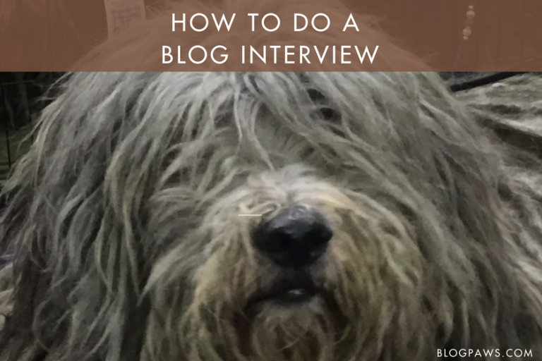 Wordless Wednesday Blog Hop: How to Do a Blog Interview