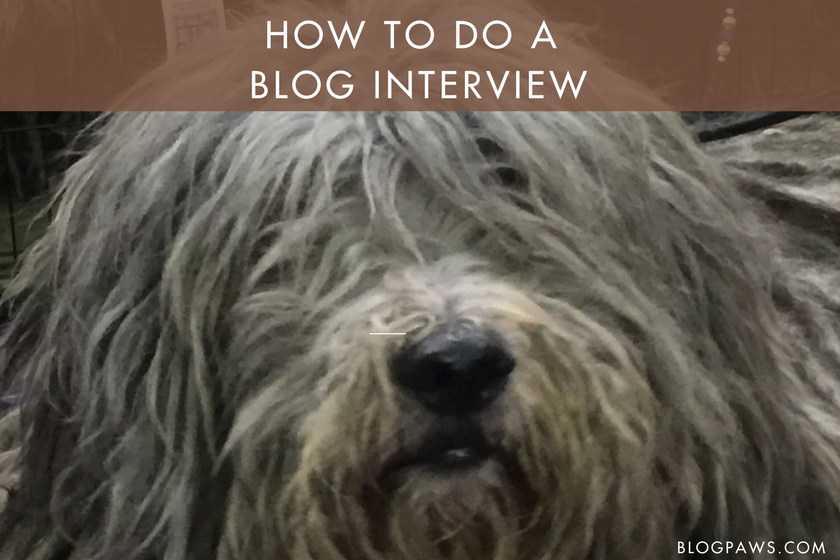 How to do a blog interview