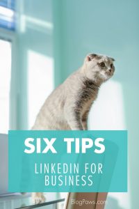 6 tips for linkedin for business
