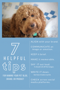 7 Tips for Creating a Memorable Blog Name from BlogPaws.com