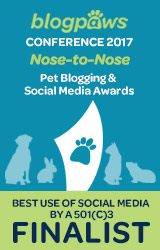 BEST USE of SOCIAL MEDIA by 501c3 Nose-to-Nose 2017 - FINALIST badge