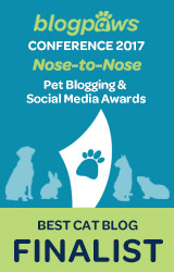 BEST CAT BLOG - Nose-to-Nose 2017 - FINALIST badge BEST CAT BLOG - Nose-to-Nose 2017 - FINALIST badge