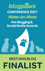 BEST DOG BLOG Nose-to-Nose 2017 - FINALIST badge