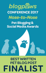 BEST WRITTEN PET BLOG POST Nose-to-Nose 2017 - FINALIST badge