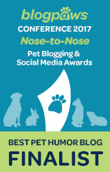 BEST PET HUMOR Nose-to-Nose 2017 - FINALIST badge