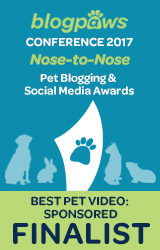 BEST PET BLOG VIDEO - SPONSORED - Nose-to-Nose 2017 - FINALIST badge