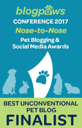 BEST UNCONVENTIONAL PET BLOG Nose-to-Nose 2017 - FINALIST badge
