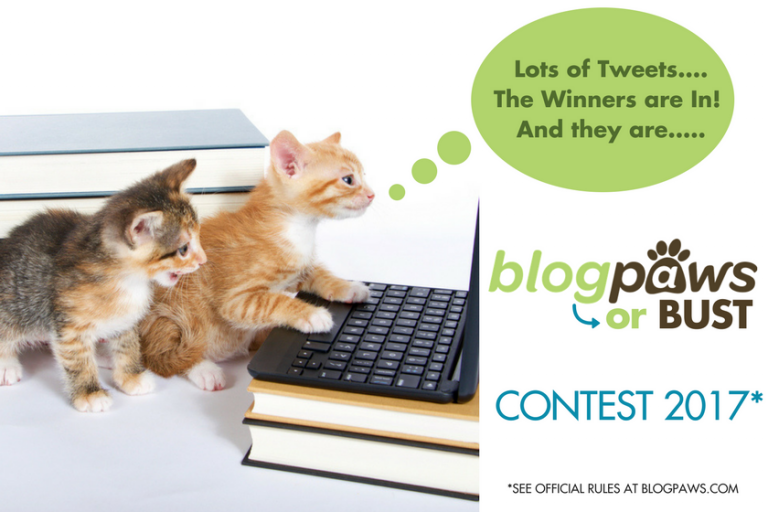 BlogPaws or Bust 2017 Winners