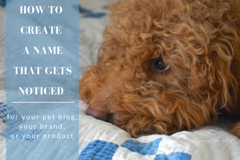 How to Create a Name that Gets Your Blog Noticed from BlogPaws.com