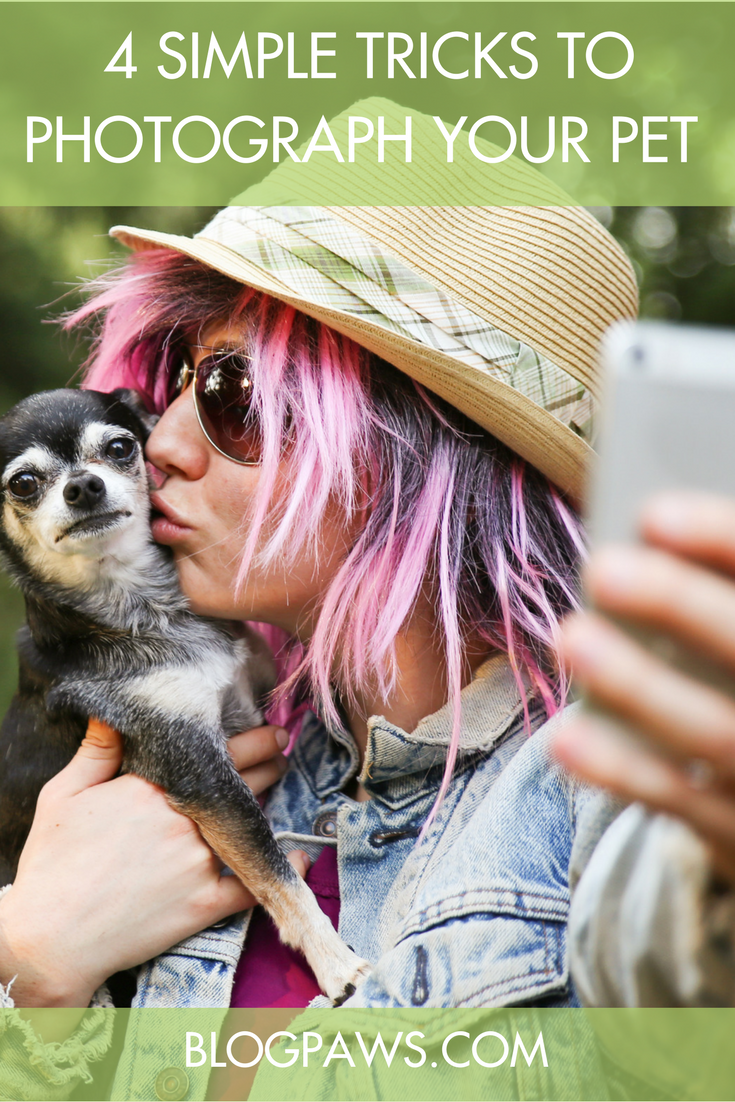 4 Simple Tricks to Photograph Your Pet Like a Pro- BlogPaws.com