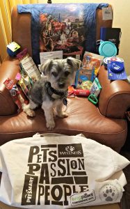 BlogPaws conference swag