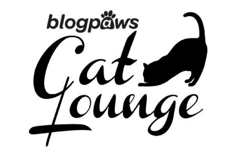 BlogPaws Cat Lounge Readies for Conference