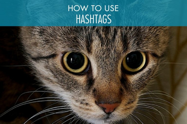 Wordless Wednesday Blog Hop How to Use Hashtags