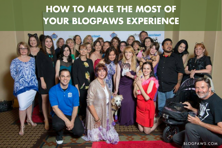 How to Make the Most of Your BlogPaws Experience